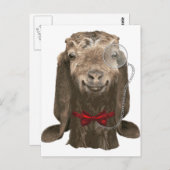 モノクルおもしろいとヌビアンヤギ ポストカード (正面/裏面)