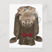 モノクルおもしろいとヌビアンヤギ ポストカード (正面)