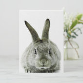 モノクロのウサギ | ウサギ好きな人へのプレゼント シーズンカード (スタンド正面)