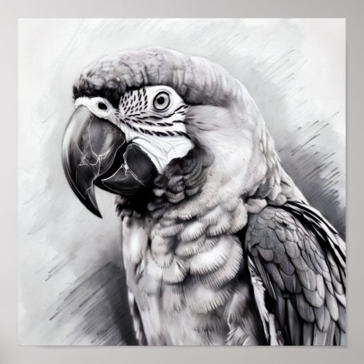 モノクロのコンゴウインコのスケッチ ポスター (正面)