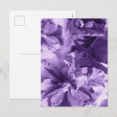 モノクロのバイオリン シーズンポストカード (正面/裏面)