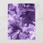 モノクロのバイオリン シーズンポストカード (正面)