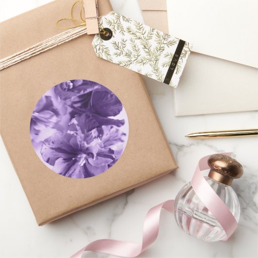 モノクロのバイオリン ラウンドシール (ギフト)