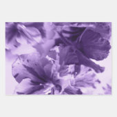 モノクロのバイオリン ラッピングペーパーシート (正面3)