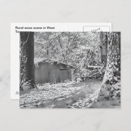 モノクロのバックライトが当たる地方の雪景色 ポストカード (正面/裏面)
