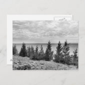 モノクロのマッキノック島、ミシガン州の海岸線 ポストカード (正面/裏面)