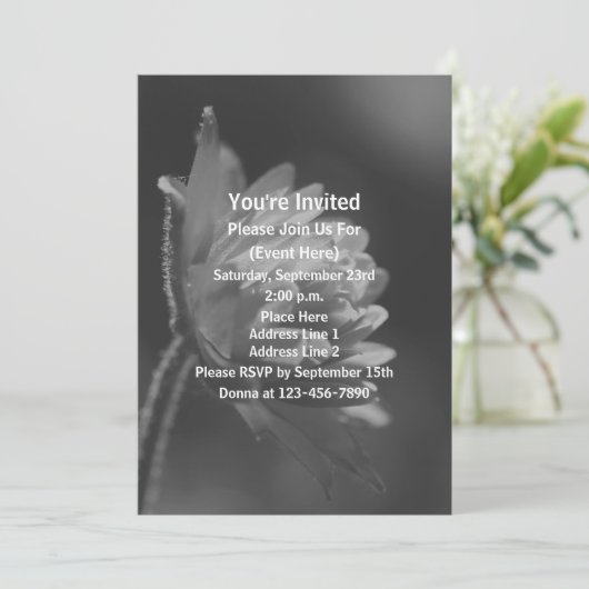 モノクロの太陽に咲く花のパーティー 招待状 (スタンド正面)