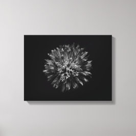 モノクロの庭の花 No 53 キャンバスプリント
