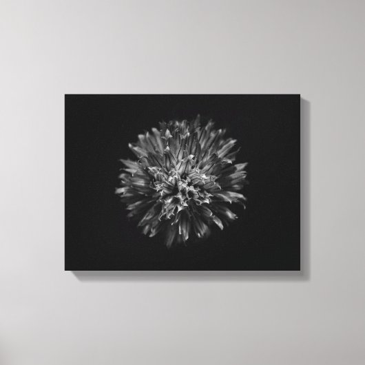 モノクロの庭の花 No 53 キャンバスプリント (正面)