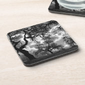 モノクロの木々を心に留めて撮影 コースター (左側)