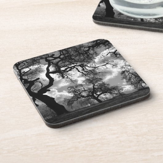 モノクロの木々を心に留めて撮影 コースター (左側)