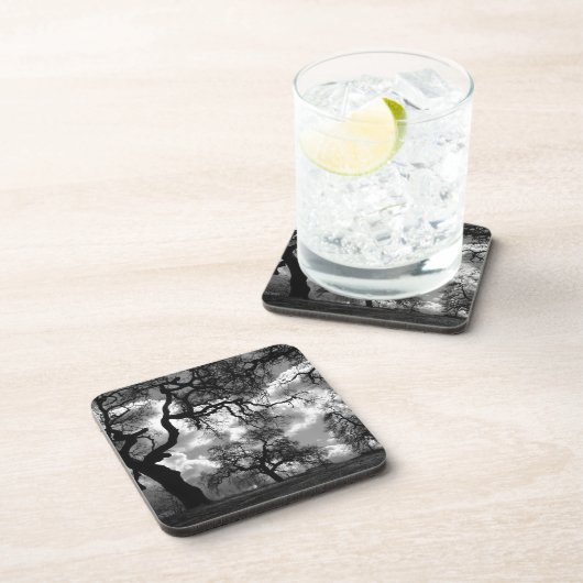 モノクロの木々を心に留めて撮影 コースター (右側)
