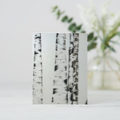 モノクロの木々 ポストカード (スタンド正面)