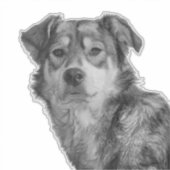 モノクロの洗練された大型の雑種犬 シール (正面)