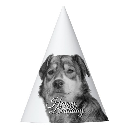 モノクロの洗練された雑種犬の誕生日 パーティーハット (正面)