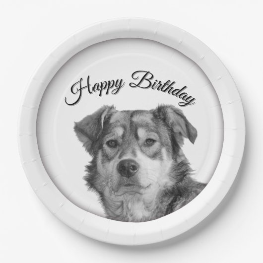 モノクロの洗練された雑種犬の誕生日 ペーパープレート (正面)
