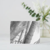モノクロの竹 ポストカード (スタンド正面)