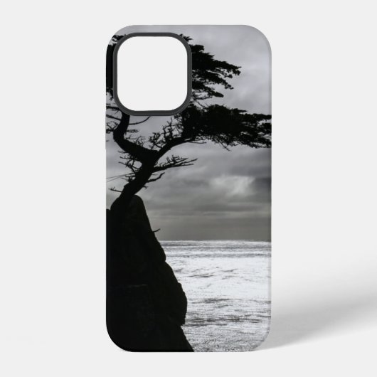 モノクロの自然写真 iPhoneケース (裏面)