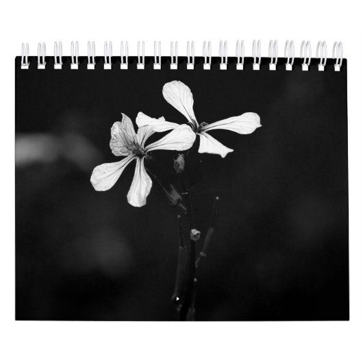 モノクロの花の写真 カレンダー (カバー)