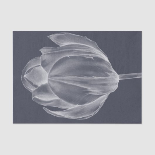 モノクロチューリップI 薄葉紙 (正面)