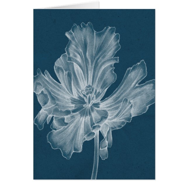 モノクロチューリップII (正面)