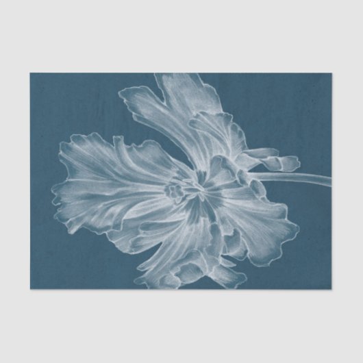 モノクロチューリップII 薄葉紙 (正面)