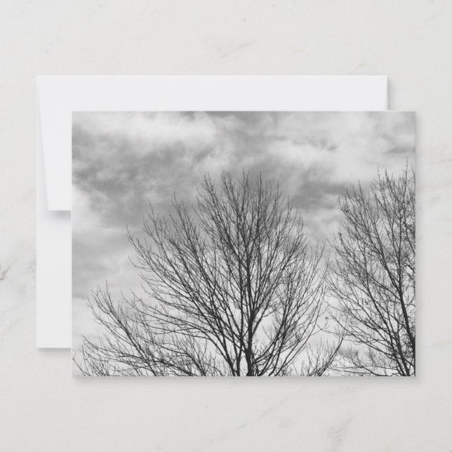 モノクロツリートップ (正面)