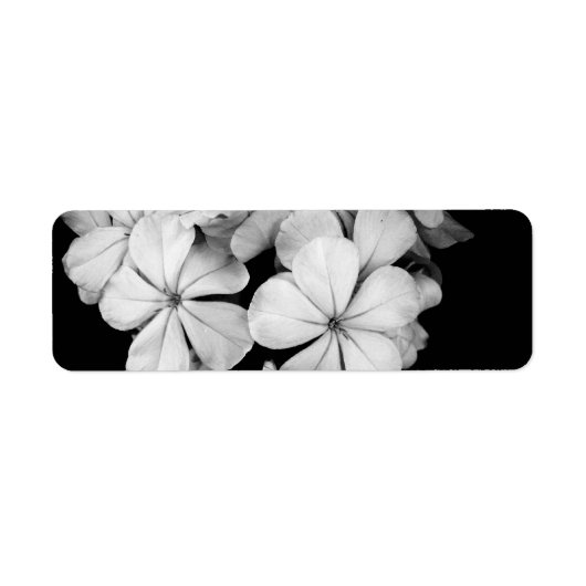 モノクロポストカードデザイン ラベル (正面)