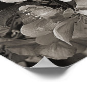 モノクロミラーの抽象的な春の花 ポスター (角)