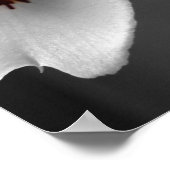 モノクロラン ポスター (角)