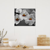 モノクロラン ポスター (キッチン)