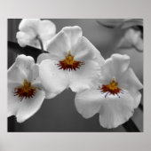 モノクロラン ポスター (正面)