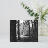 モノクロレリーフ、 浮き彫りからForest Darknessポストカード ポストカード (スタンド正面)