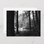 モノクロレリーフ、 浮き彫りからForest Darknessポストカード ポストカード (正面/裏面)
