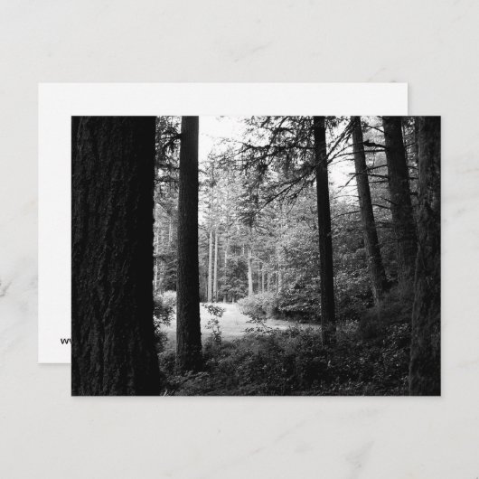 モノクロレリーフ、 浮き彫りからForest Darknessポストカード ポストカード (正面/裏面)