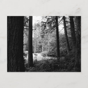 モノクロレリーフ、 浮き彫りからForest Darknessポストカード ポストカード