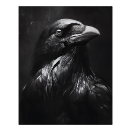 モノクロームのカラス肖像 フォトプリント