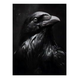 モノクロームのカラス肖像 ポスター