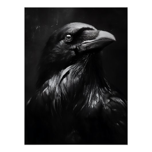 モノクロームのカラス肖像 ポスター (正面)