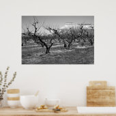 モノクロ写真ポスター春風景 ポスター (キッチン)