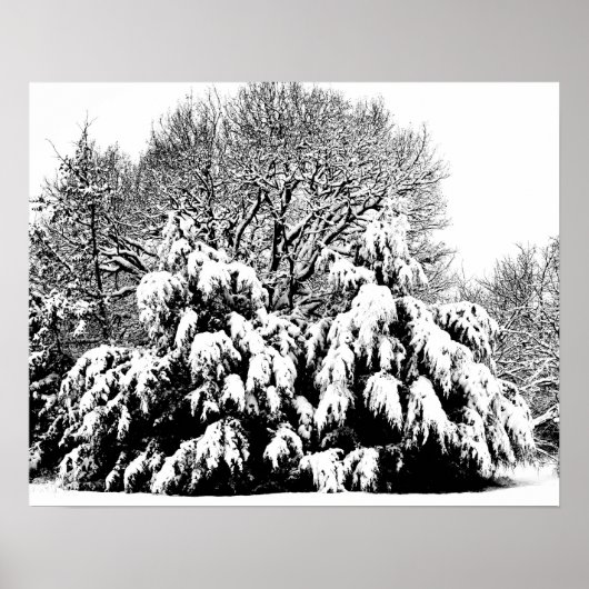 モノクロ写真芸術 雪の木々 ポスター (正面)