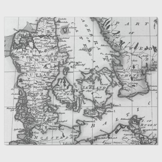 モノクロ古地図ラッピングペーパー ラッピングペーパー (フラット)