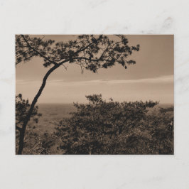 モノクロ横長写真はがき ポストカード