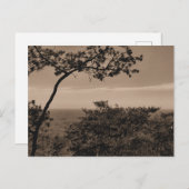 モノクロ横長写真はがき ポストカード (正面/裏面)