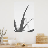 モノクロ白黒アロエプラント葉 ポスター (キッチン)