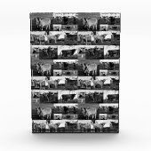 モノクロ陛下：高地カウフォトコラージュ フォトブロック (正面)