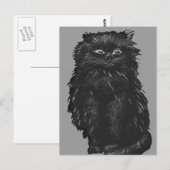 モノクロ黒猫 ポストカード (正面/裏面)