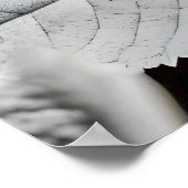 モノクロ、葉のファインアート写真 ポスター (角)