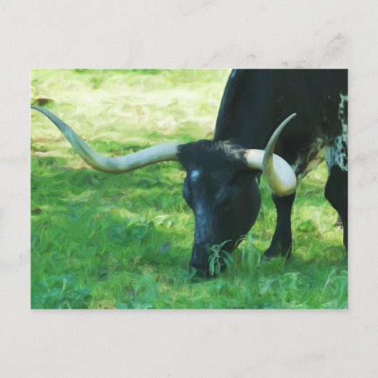 モノクロLonghorn ポストカード (正面)