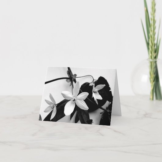 モノクロNotecardのクレマチス カード (正面)